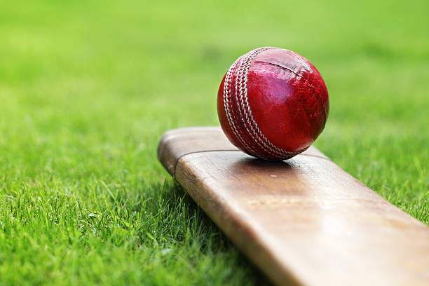 Cricket and sustainable event catering: Providing plant-based menus and reducing food waste