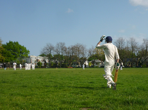 Exploring the Rise of T20 Cricket Leagues Around the World