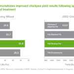 Reddy Book Win: Full Guide, Benefits, and How to Leverage Your Reddybook Win ID